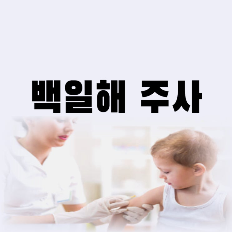  성인 백일해 예방접종 주사 맞는 시기 보건소 백일해 주사 가격까지(임산부)