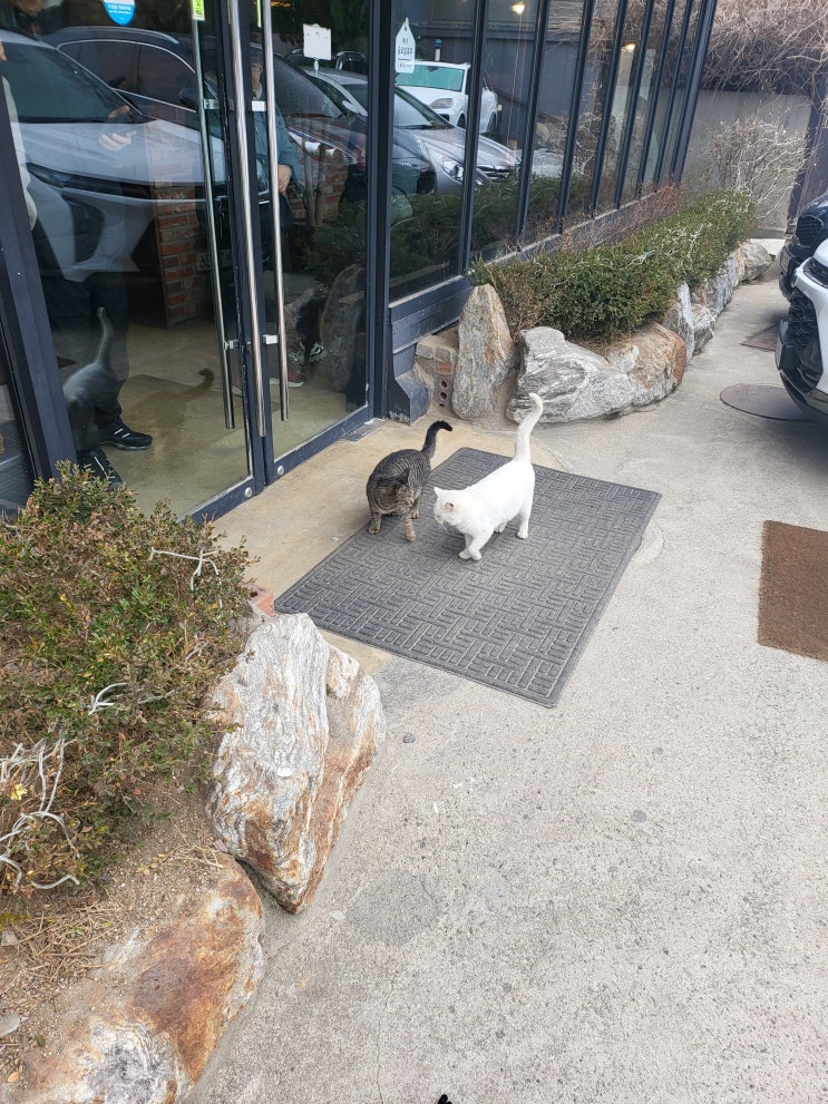  행주산성 맛집 더덕구이 먹으러 도담 곤드레 한정식 및 한강뷰 카페 텐나인 방문기