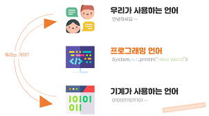 오늘의 정보