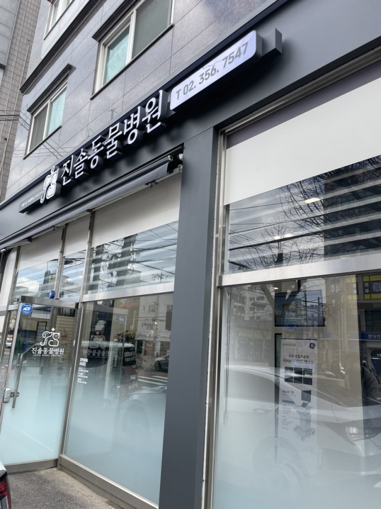  은평구 동물병원 진솔 동물병원 반려동물 건강검진 후기