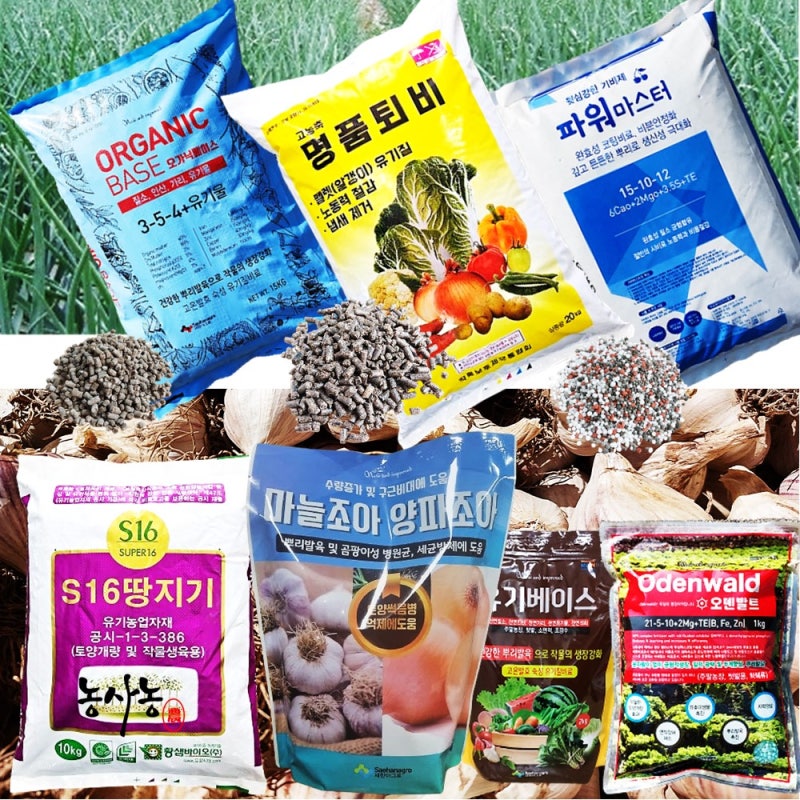 마늘 양파 전용 비료 주는시기 유기질 거름 종류 기비 추비 방법 사용량