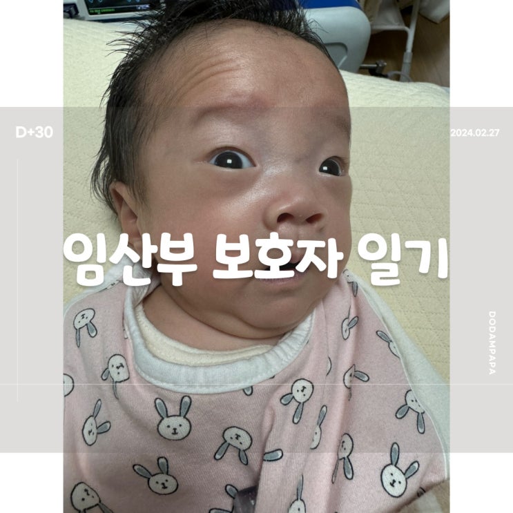 2024.02.27 임산부 보호자 일기 D+30일 2024.02.27 임산부 보호자 일기 D+30일