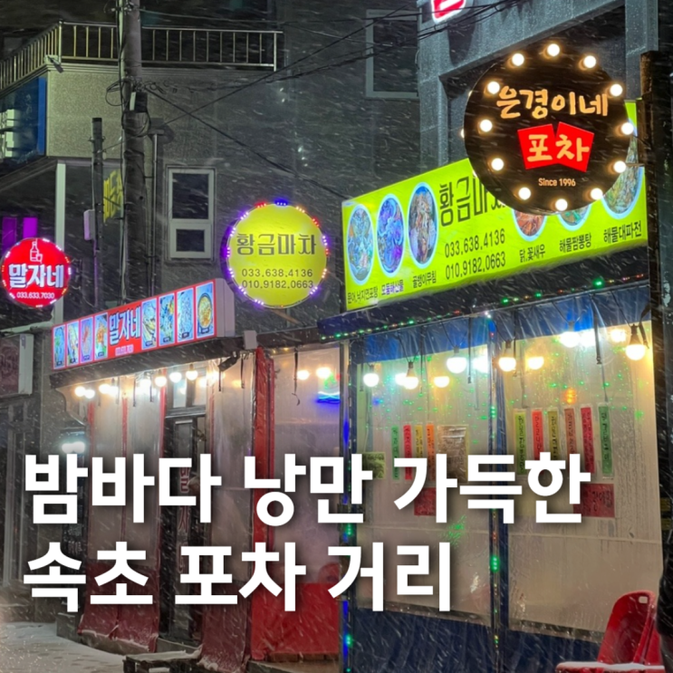  [강원ㅣ속초] 밤바다 낭만 가득, 속초 포차 거리