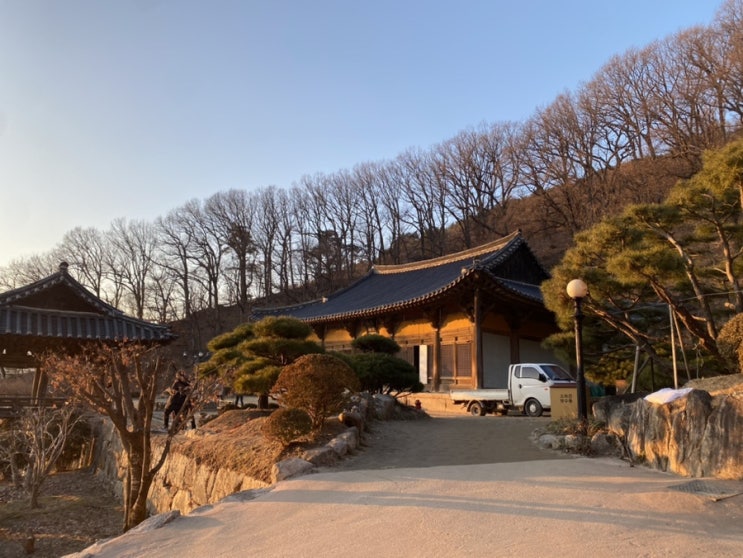  마미생신 기념 일상 _ 해질녘 영주 부석사, 봉화객주 화덕피자