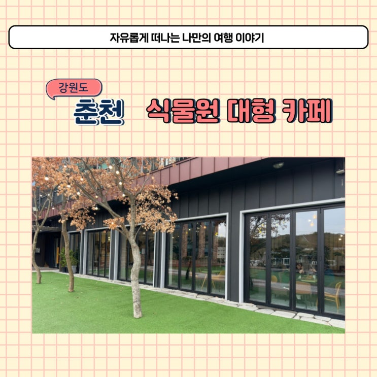  춘천 대형 카페 그린보드 커피가 맛있는 식물원카페