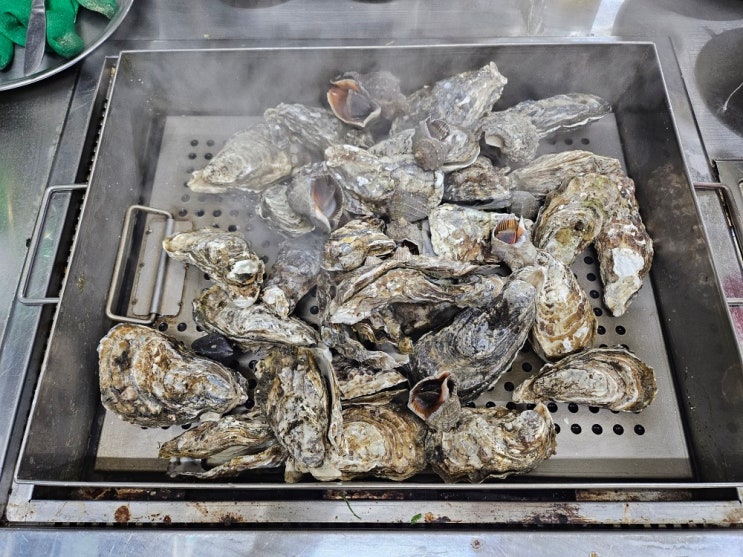  [내돈내산] 천북굴단지 맛집 등대 굴수산 11월의 행복 등대정식 굴코스요리