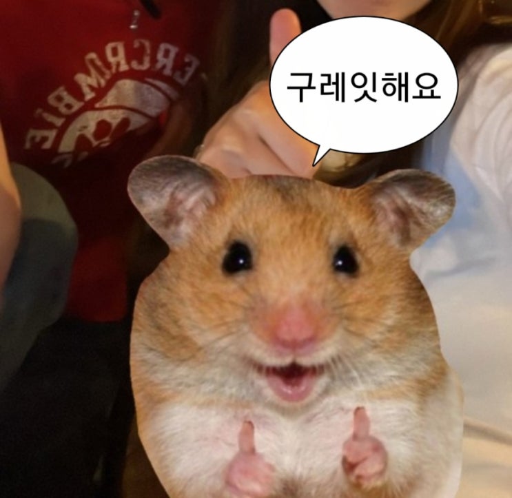 <b>요양보호사 시험</b> 후기
