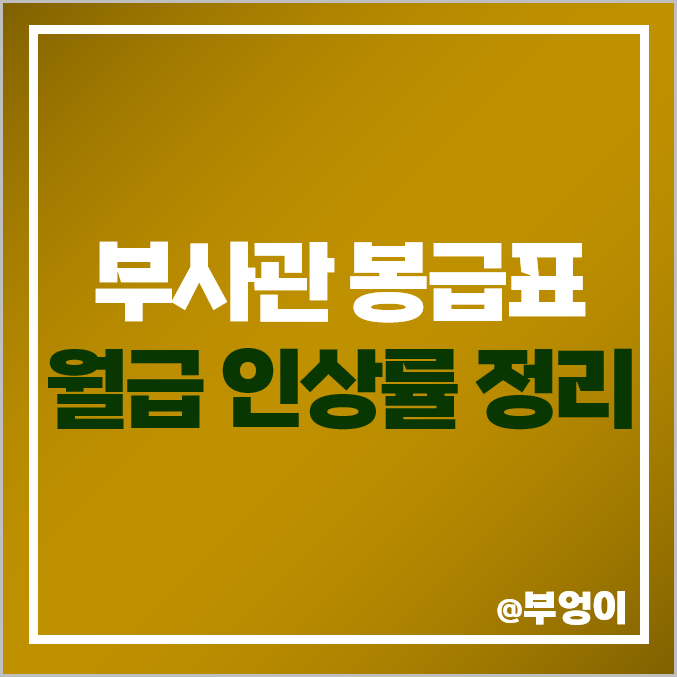 2024년 군인 월급 부사관 하사 중사 상사 원사 인상률 봉급표 2024년 군인 월급 부사관 하사 중사 상사 원사 인상률 봉급표