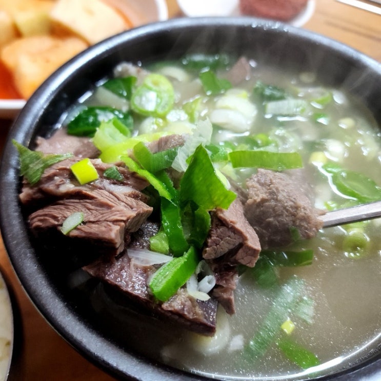  [포항 맛집] 장기식당 입에서 사르르 녹는 한우곰탕 한우수육