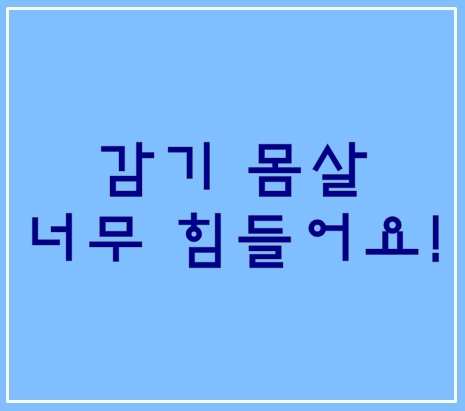  감기 몸살 조심하세요 너무 힘들었네요