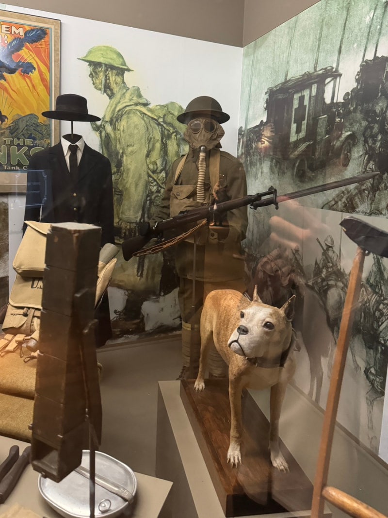 기념 청동 군견 및 군인 동상 BOKK-37, image size:800x1067