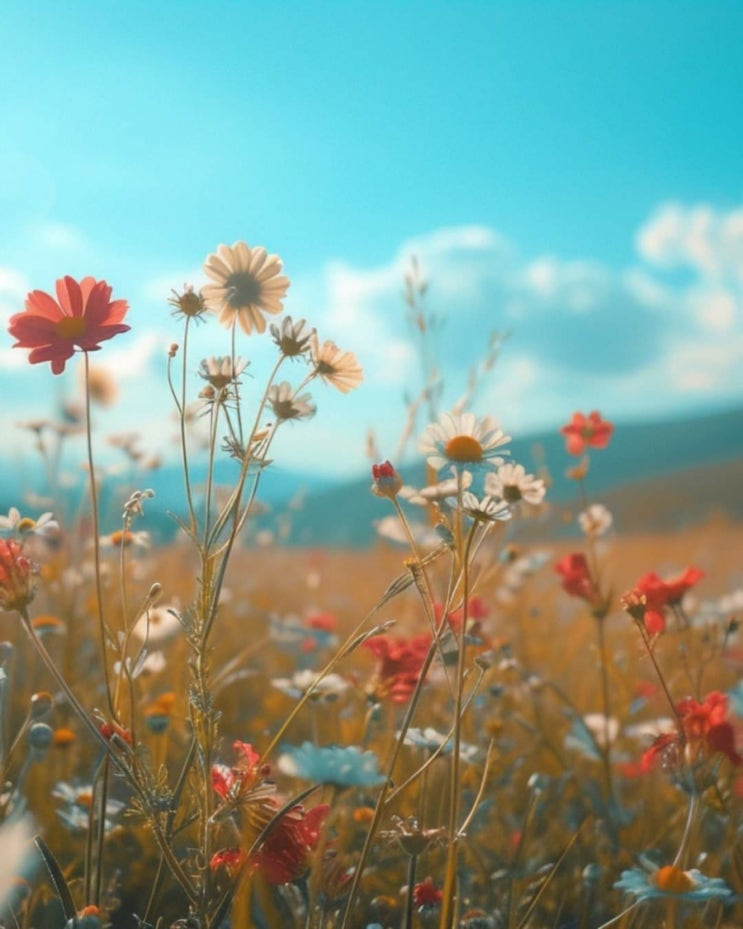   오늘의 생활정보 (2024-02-27, 화)