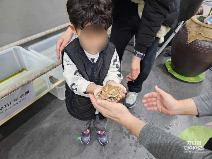  경남 아이와 가볼 만한 곳 :: 창녕 생태곤충원, 대구 근교, 부산 근교 아이와, 체험형 동물원
