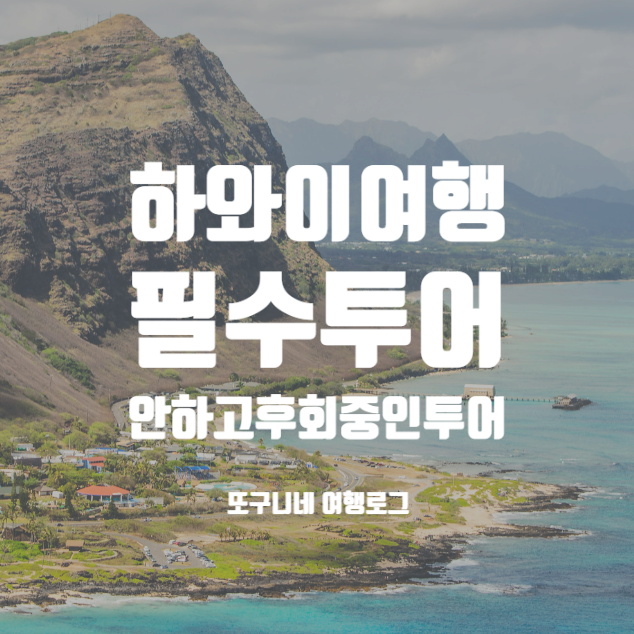  하와이 투어 추천 & 일일투어 현지투어 예약 꿀팁!
