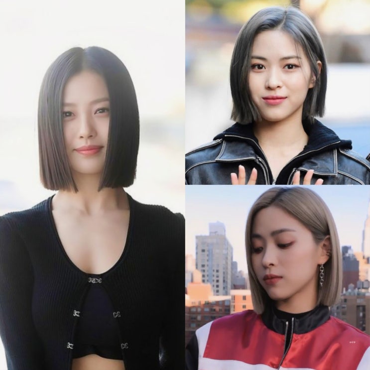  둥근 얼굴형 태슬컷 단발태슬컷 뜻 단발병 확정