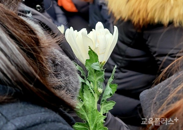 인사혁신처, 故<b>서이초 교사</b>... 피살 <b>교사</b> 순직 <b>인정</b>...故무녀도초... 