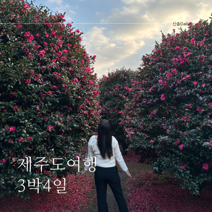  [제주도 여행] 3박 4일 서귀포 삼달리 숙소, 표선해비치에갓더라면, 아줄레주, 동백포레스트, 서귀포매일올레시장,