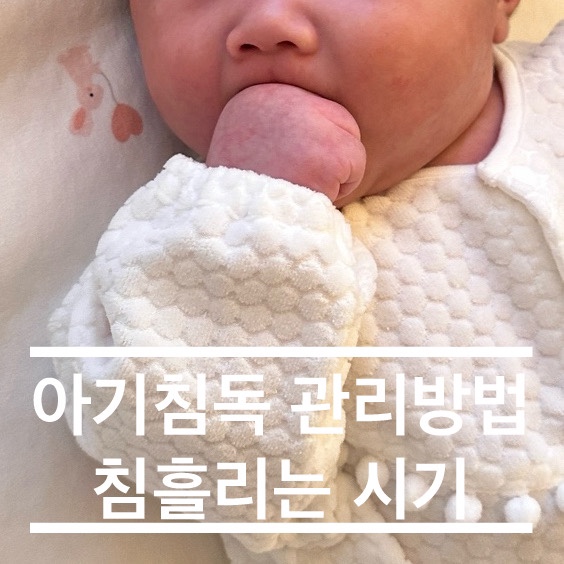  아기 침독 관리방법 침흘리는 시기 쁘리마쥬 비판텐