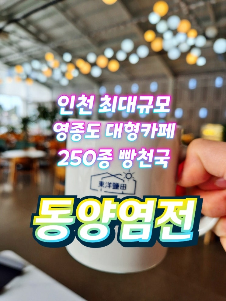  영종도가볼만한곳 인천최대규모 대형카페 동양염전베이커리카페