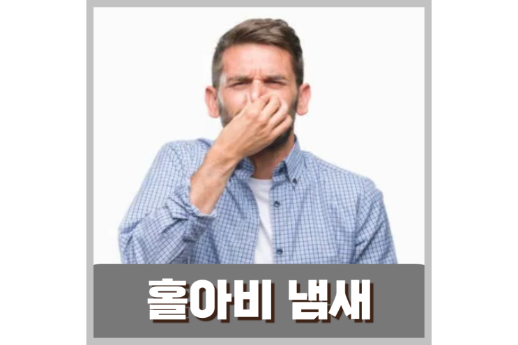  홀아비 냄새 원인 및 제거 방법
