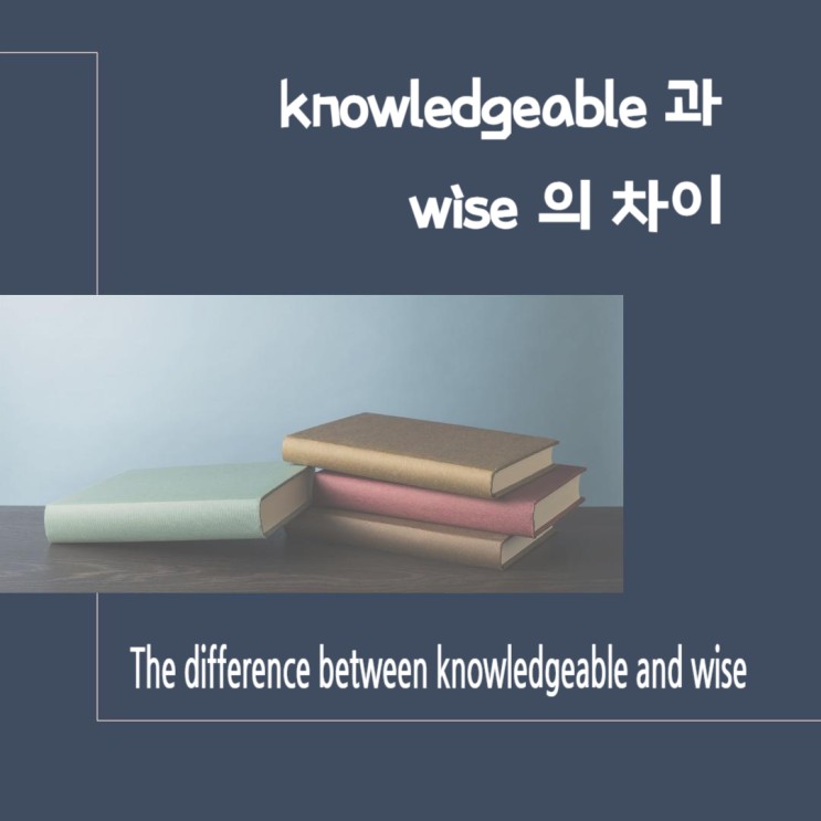 knowledgeable 과 wise의 차이점