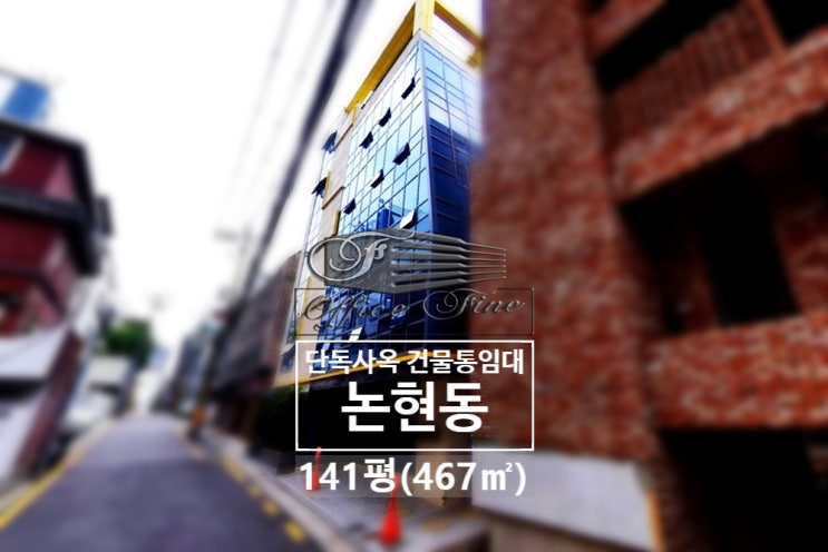 논현동 채광 좋은 신논현역 신축 건물 통임대 141평(467)