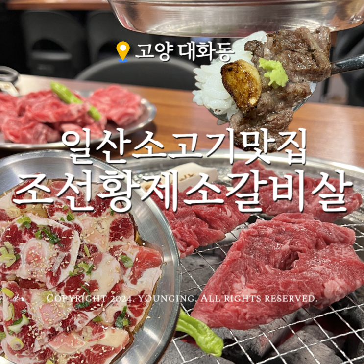  일산 소고기 맛집 대화동고기집 조선황제소갈비살