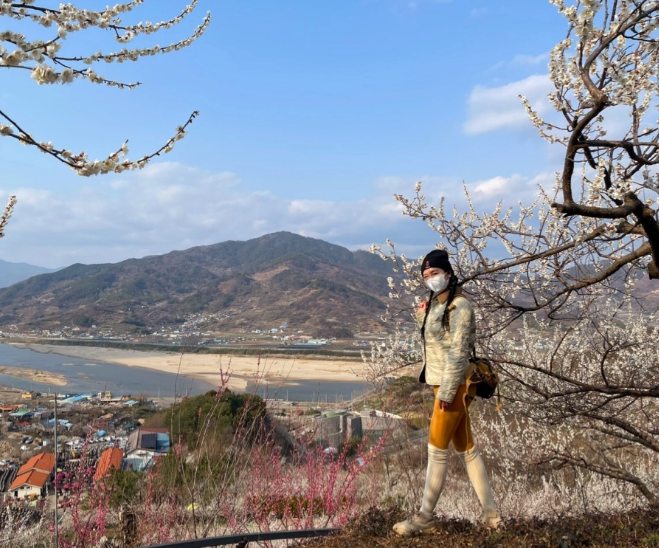  광양 매화마을 쫓비산 등산코스 홍매화 2024 봄꽃축제 매화개화시기