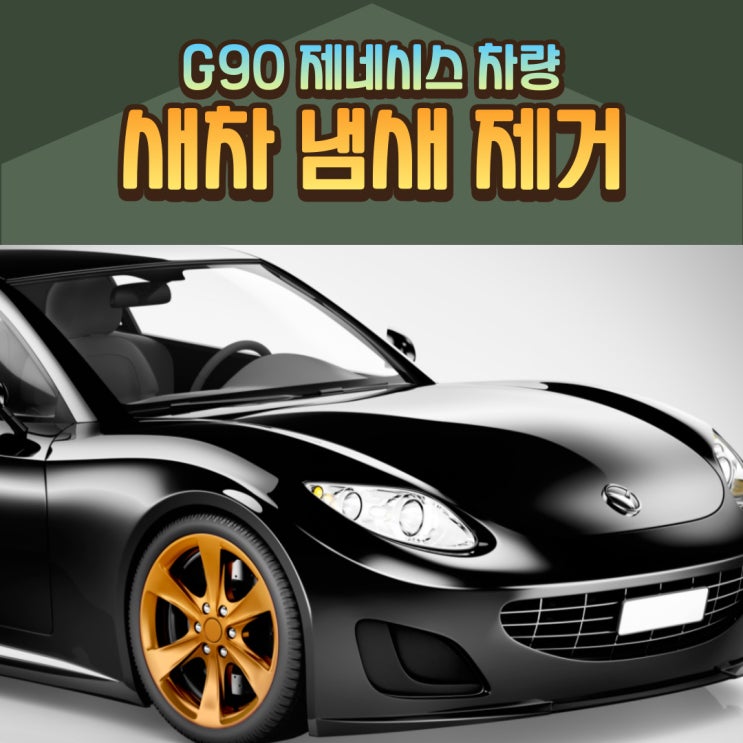  새차 냄새 아기가 있어서 제거한 시공 (제네시스 G90 신차)