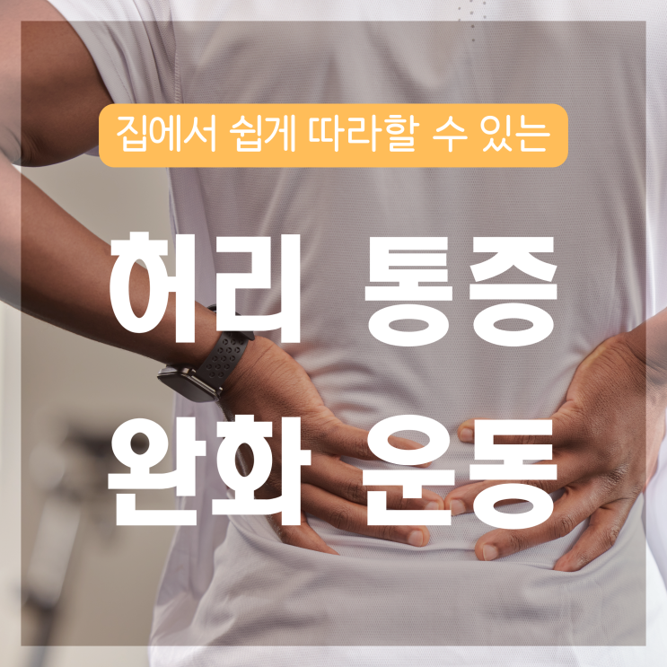  허리근육(코어) 강화 운동 TOP3 (데드버그,버드독,브릿지)