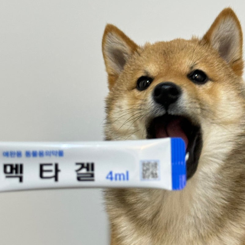 서울 동작구 노량진역 동물약국 :: 설약국 (강아지 설사 멕타겔 지사제 효과)