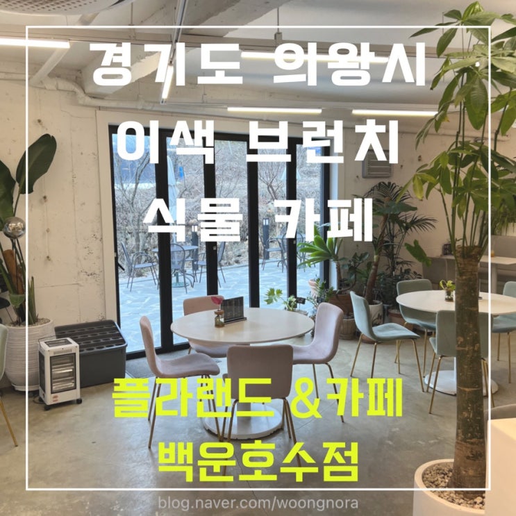  경기도 의왕시 이색 브런치 식물 카페 - 플라랜드앤카페 백운호수점