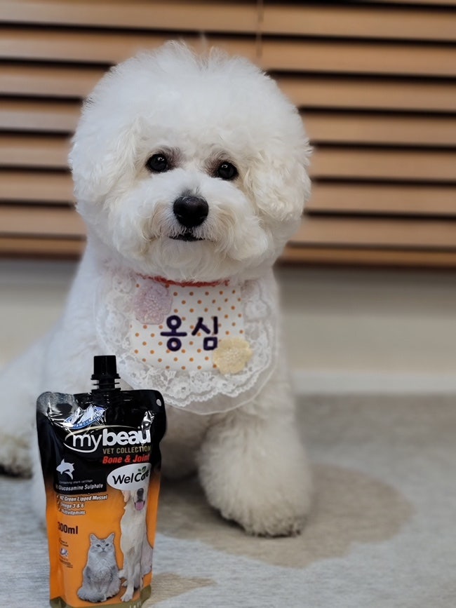 강아지 관절 영양제 - 마이뷰 조인트