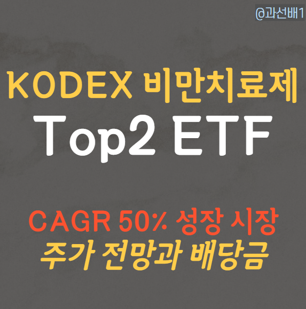 KODEX 글로벌비만치료제TOP2 Plus 주가 전망과 배당 정보 총정리