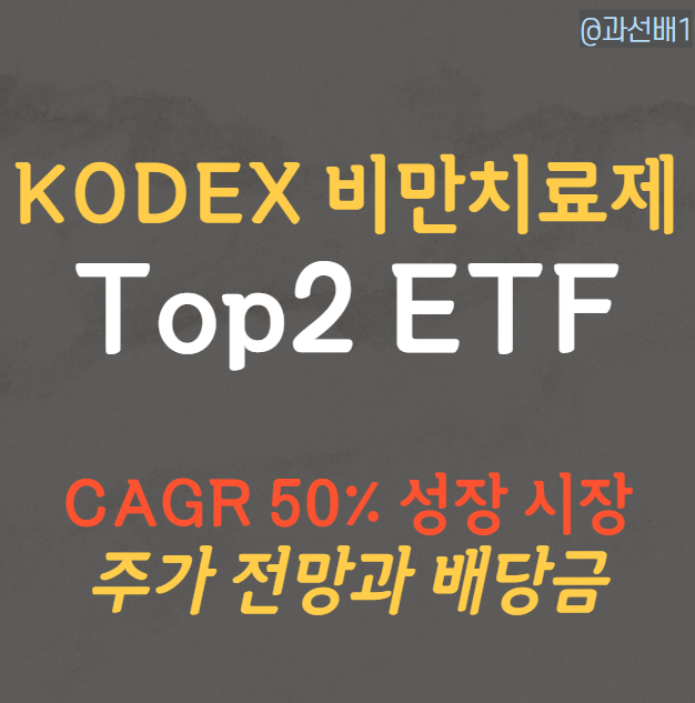  KODEX 글로벌비만치료제TOP2 Plus 주가 전망과 배당 정보 총정리