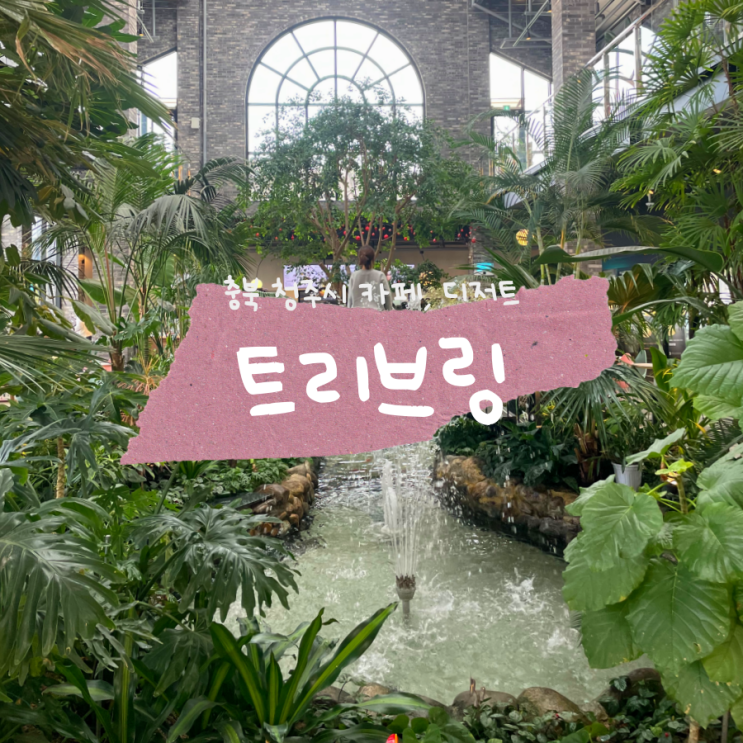 도심 속 작은 숲 트리브링 청주 대형 카페 도심 속 작은 숲 트리브링 청주 대형 카페