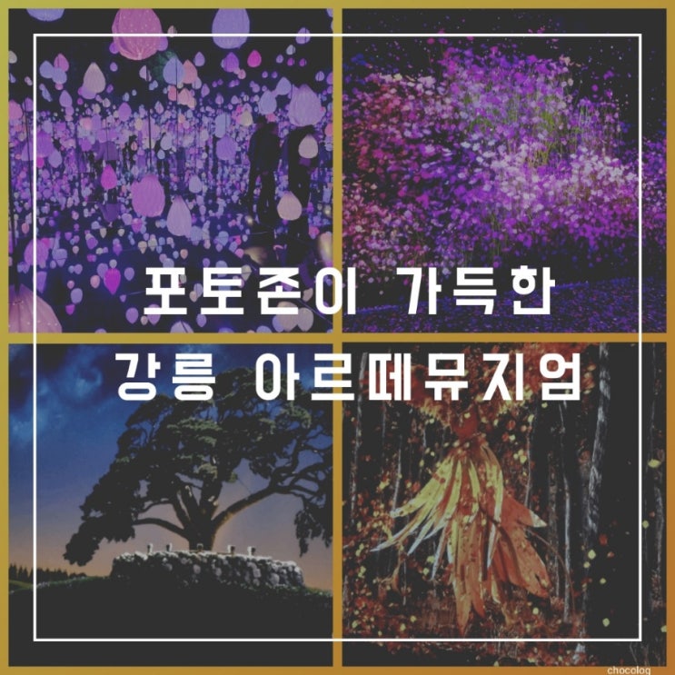  강릉 아르떼뮤지엄>> 아이와  가볼만한곳 & 근처 경포해수욕장으로 당일치기여행하기(#입장권 할인팁)