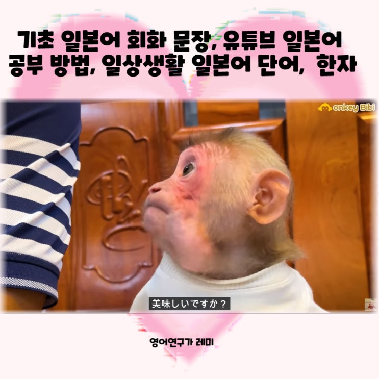 기초 일본어 회화 일본어 문장, 유튜브 일본어 공부 방법, 일상생활 일본어 단어 일본어 독학 한자 기초 일본어 회화 일본어 문장, 유튜브 일본어 공부 방법, 일상생활 일본어 단어 일본어 독학 한자