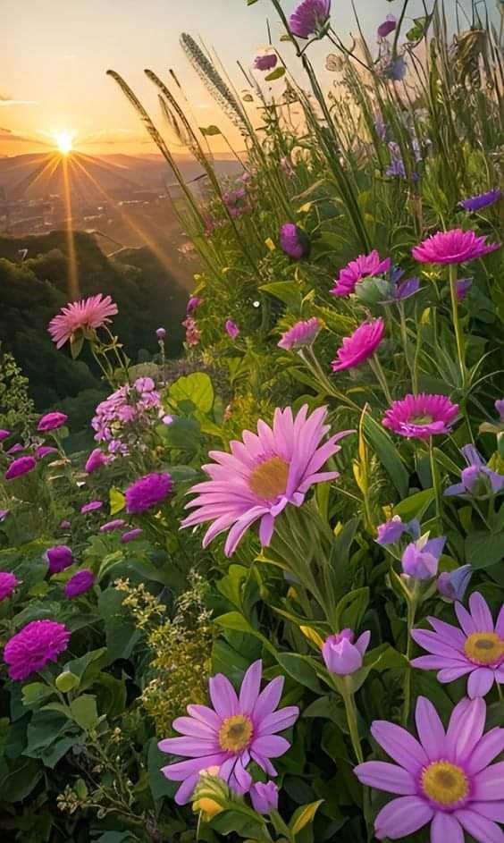   오늘의 생활정보 (2024-02-28, 수)