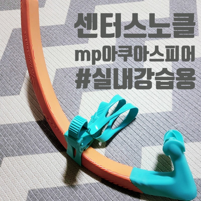 +번외) 강습용 센터스노클 mp 아쿠아스피어 실사용 후기