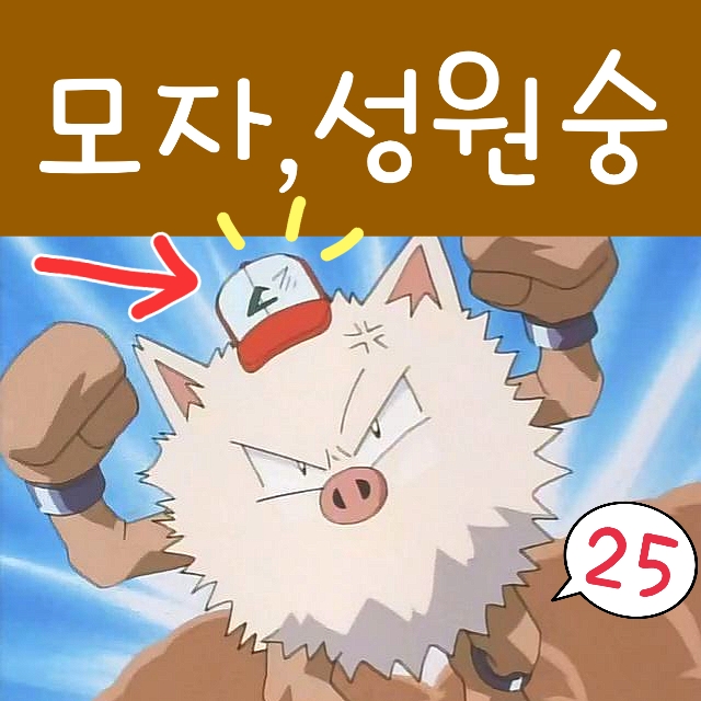  포켓몬스터 25화 지우 포켓몬 망키 진화 성원숭 잡다