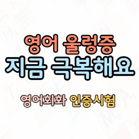  양주 아이엘츠 텝스 성인 영어회화 오픽 토익과외 주재원 이직 준비