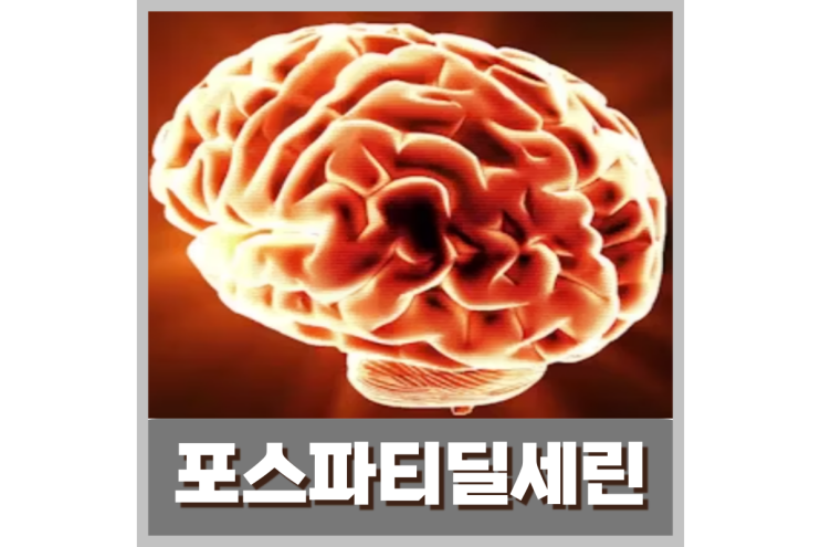  포스파티딜세린 효과로 뇌 기능을 한층 업그레이드