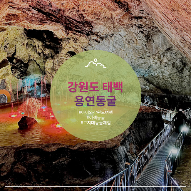  [태백] 그동안 가본 5개 동굴 중 볼거리 최고! 강원도 용연동굴(+겨울왕국즐기기)