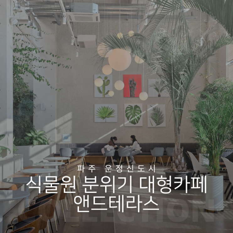  파주 운정신도시 식물 가득한 대형 카페 앤드테라스