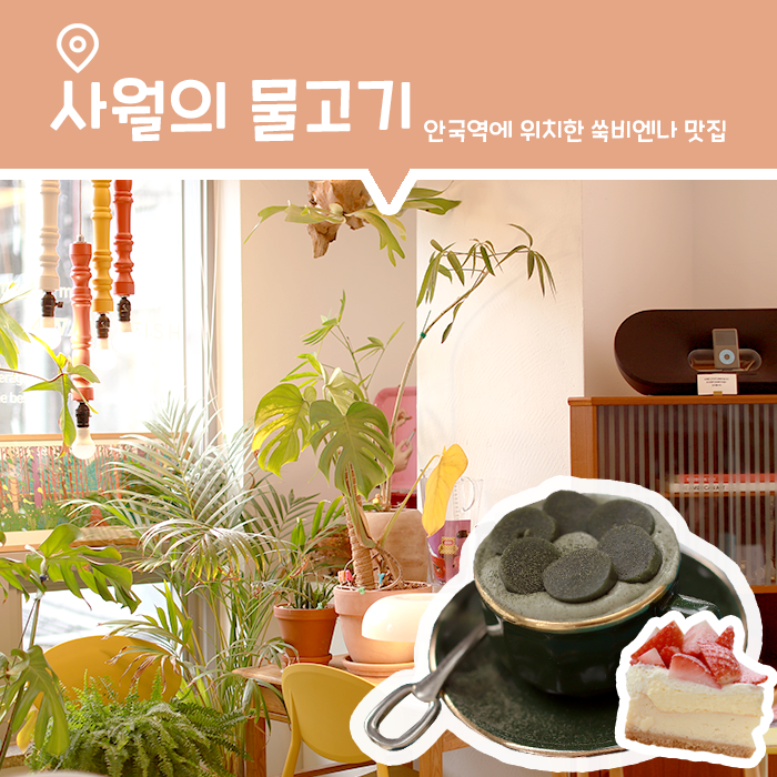  [카페] 안국역 흑임자와 쑥비엔나가 맛있는 '사월의물고기'