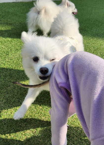 신봄 겨울방학 끝 ! 유치원 복귀 전 사진 모음zip 신봄 겨울방학 끝 ! 유치원 복귀 전 사진 모음zip