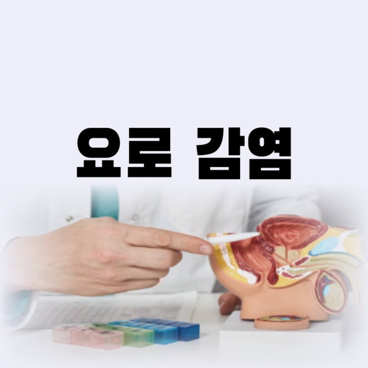  성인 요로감염 증상 원인 알면 치료 가능할까 아기 요로감염까지