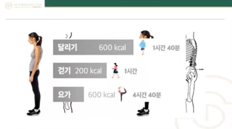  바른자세만으로 다이어트? 지구상 가장 빠르게 살을 뺄 수 있는 방법 (1편)