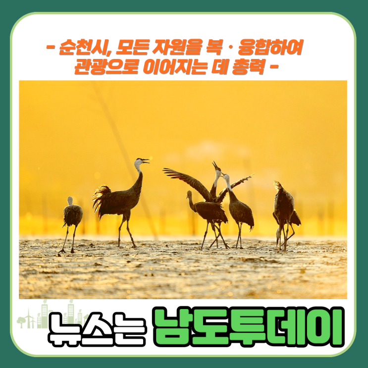  순천만에서 펼치는  탐조여행, 흑두루미의 향연 미식여행 - 남도투데이